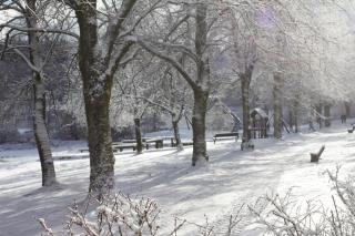 Haus am Karpfenteich - 4