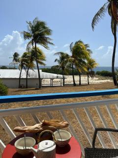 Plaisir Caraïbes - 8