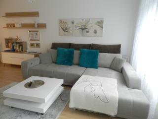 Ferienwohnung DANUBIA - Linz - 1