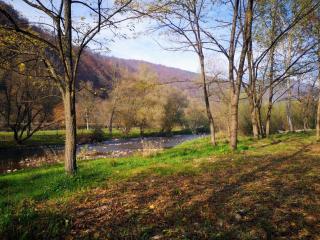 Căsuțe Zăvoi Bulz - 7