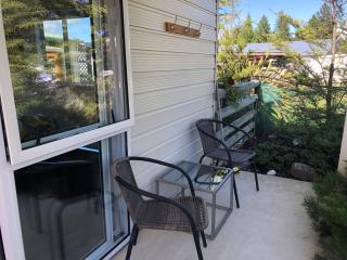 Totara Cottage - Twizel - 1
