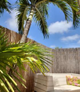 Barefoot Bonaire - 2