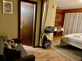 Charmant Studio, 2 adultes , Centre de Nendaz - Nendaz - 2