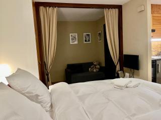 Charmant Studio, 2 adultes , Centre de Nendaz - Nendaz - 6
