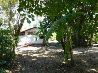 Villasjungle 1 - Sámara - 9