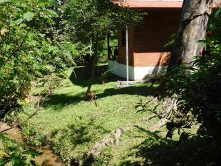 Villasjungle 2 - Sámara - 3