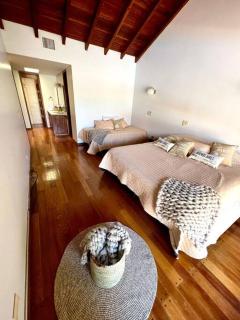 Gran casa corazón de Mendoza - Mendoza - 8