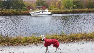 Beech House - Fort William - 8