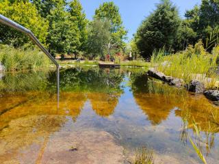 Casa Das Palmeiras-Pedagogic Farm - Mangualde - 1