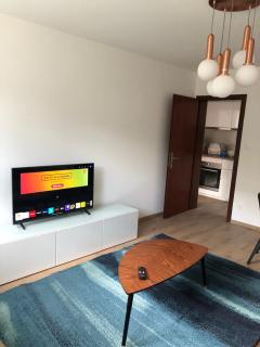 Joli appartement dans une maison remise à neuf - Mittelhausbergen - 7