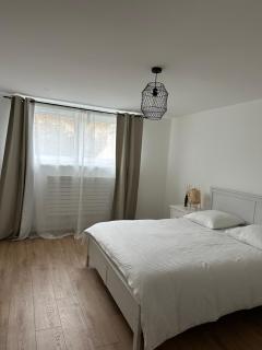 Joli appartement dans une maison remise à neuf - Mittelhausbergen - 6