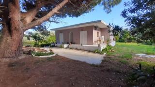 Lake House - Halikounas - 8