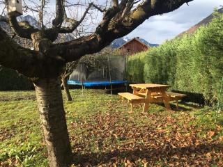 L'Augustine - L'Armélaz avec Spa privé - 4