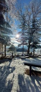 Domek Dorota z widokiem na góry Lasówka 5km do Zieleniec Ski Arena - 9