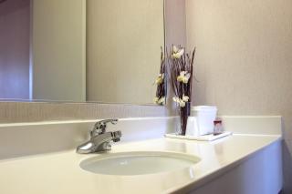 Regency Inn Richmond - Richmond - 2