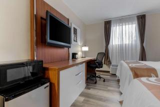 Quality Inn & Suites New Hartford - Utica - Utica - 4