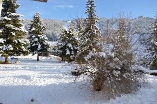 VILLARD DE LANS - Villard-de-Lans - 8