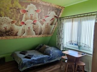 Pokoje i Apartamenty Regionalny Styl ul Króle 1a Zakopane - Zakopane - 9