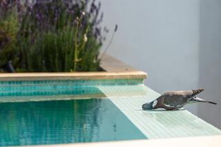 3009 - Luxurious new villa in quiet area in Costa de la Calma - 6