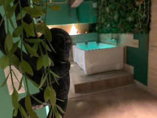 The secrets jungle loveroom - 6