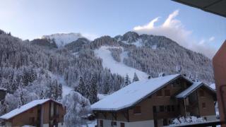 La montagne « un coin d’oxygène » - Châtel - 5