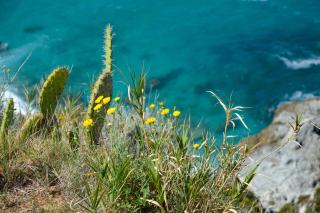 La Meridiana - Capo Vaticano - 3