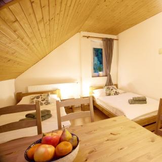 Apartmány Bramborka - Janov nad Nisou - 0