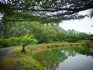 Calm at Bangphat - Bor Saen - 8