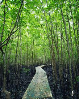 Calm at Bangphat - Bor Saen - 9