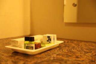 Hotel NSB Manali - Manāli - 1