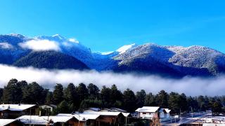 Local Stay Hotel, BW Signature Collection - 7