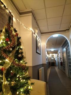 Hotel Camilla Firenze - Firenze - 7