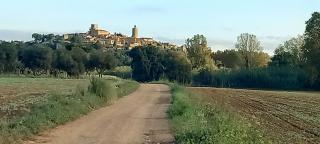 Loft with love in Pals - 7