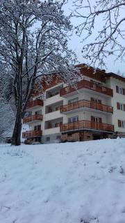 CASA VIDI - Madonna di Campiglio - 9