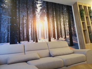 Jahorinska Vila - app SRCE JAHORINE - Jahorina - 2