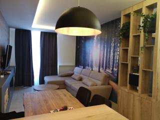 Jahorinska Vila - app SRCE JAHORINE - Jahorina - 5