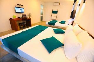 Tea Garden Eco Villas - 0