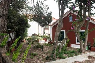 Casa Flamingo - Foz do Arelho - 5