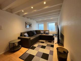 Grand Triplex d'architecte en hypercentre - Liegi - 5