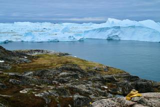 Hotel Hvide Falk - 2