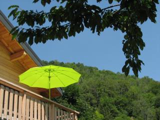 Chalet de l'Infernet - Auris - 4