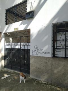 Casa del Perro Coliving - Cali - 6