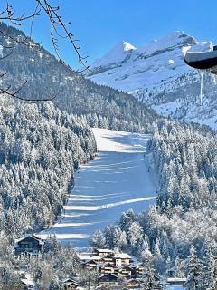 T3 Appartement haute-Savoie Carroz - 2