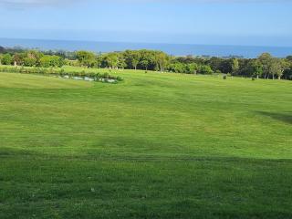Koura Bay Golf Resort - Kaikoura - 2