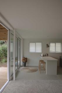 TreeTops - Auckland - 9