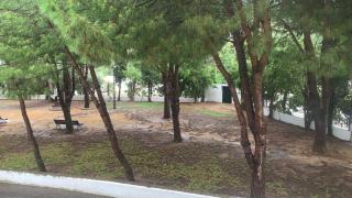La casa del parque - 1