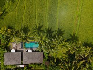Kappa Senses Ubud - 2