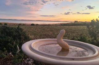 Coorong Lakeside Cottage - Meningie - 7