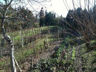 La Casina Bianca - 2