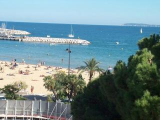 Bel appartement climatisé avec garage au Lavandou - FR-1-308-13 - Le Lavandou - 8